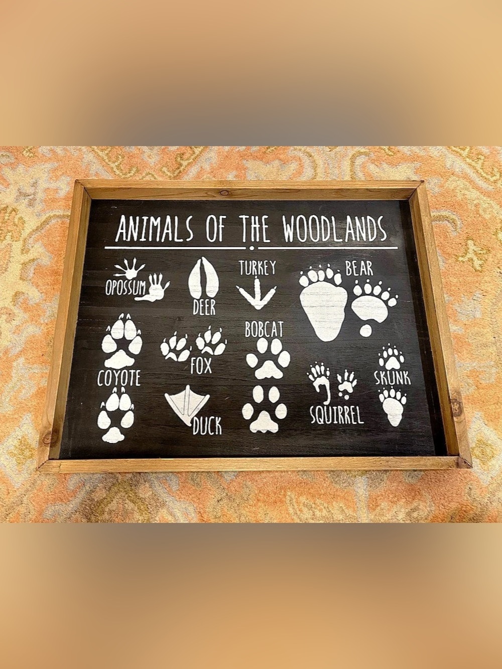 Animals of the Woodlands Wall Decor For Nursery or Kids Room 🐾